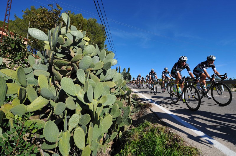 Etixx - Quick-Step Training Camp - Cycling: Team Etixx - Quick-Step 2015 
URAN Rigoberto (COL)/ VELITS Martin (SVK)/ Illustration Illustratie / Cactus / 
Training Camp Entrainement / Equipe Ploeg /(c)Tim De Waele
