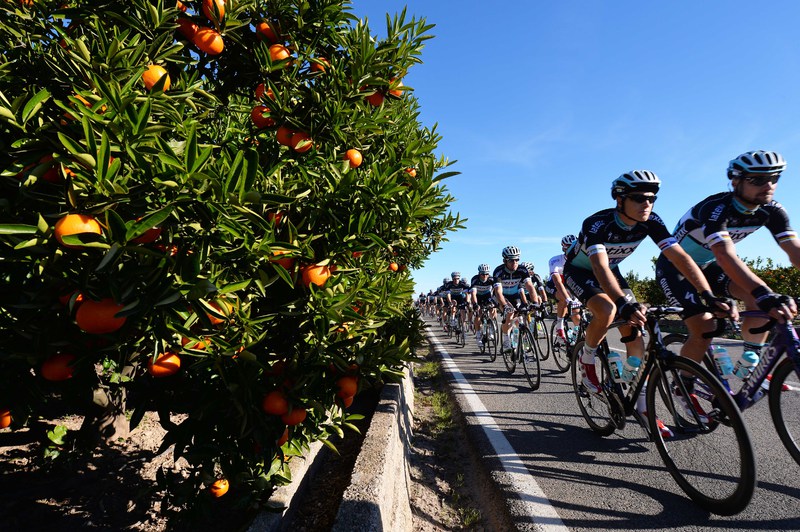 Etixx - Quick-Step Training Camp - Cycling: Team Etixx - Quick-Step 2015 
TERPSTRA Niki (NED)/ BOONEN Tom (BEL)/ CAVENDISH Mark (GBR)/ Illustration Illustratie / Oranges Appelsienen / 
Training Camp Entrainement / Equipe Ploeg /(c)Tim De Waele
