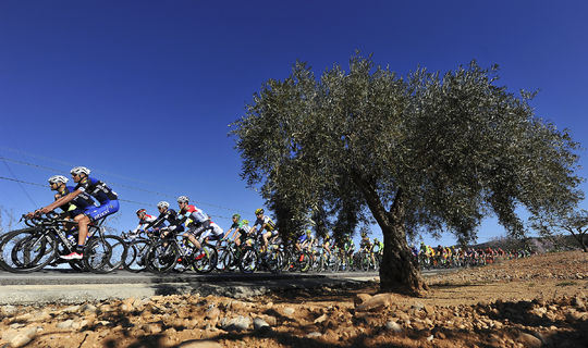 Etixx – Quick-Step announces team for Tour of Oman