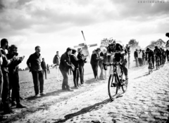 Section pavés Templeuve