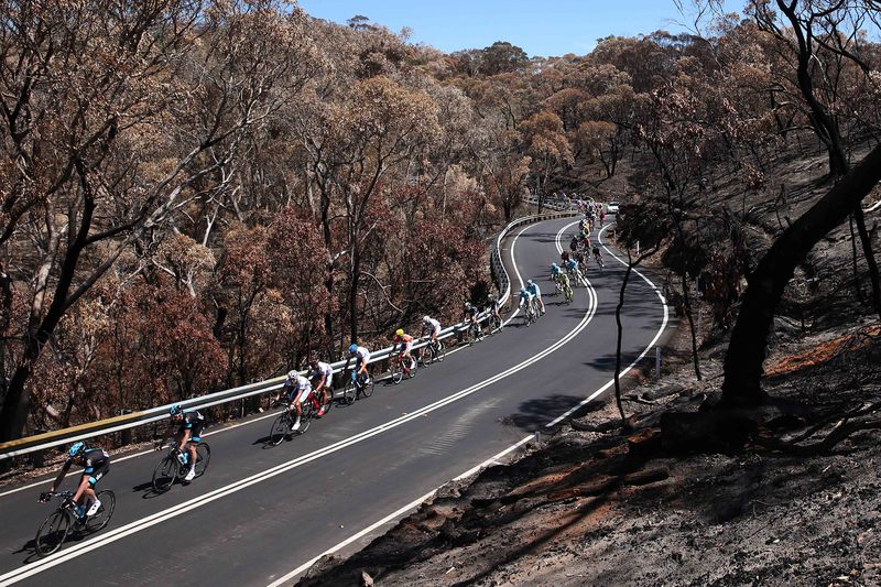 Santos Tour Down Under - stage 3 - Cycling: 17th Santos Tour Down Under 2015/ Stage 3
Illustration Illustratie/ Peloton Peleton/ Landscape Paysage/ Forest/ Fire/ 
Norwood-Paracombe (143Km)/
Etape Rit Ronde (c)Tim De Waele
