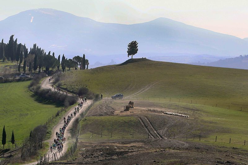 Strade Bianche - Cycling: 9th Strade Bianche 2015  
Illustration Illustratie / Peleton Peloton / Landscape Paysage Landschap / 
San Gimignano- Siena (200Km)
Eroica (c) Tim De Waele
