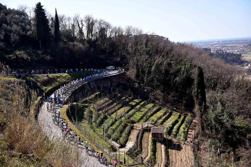 Tirreno-Adriatico - stage 2 - Cycling: 50th Tirreno - Adriatico 2015 / Stage 2 
Illustration Illustratie / Peleton Peloton / PITORO (224m) Mountains Montagnes Bergen / Landscape Paysage Landschap / 
Camaiore - Cascina (153Km)/ 
Stage Rit /(c) Tim De Waele
