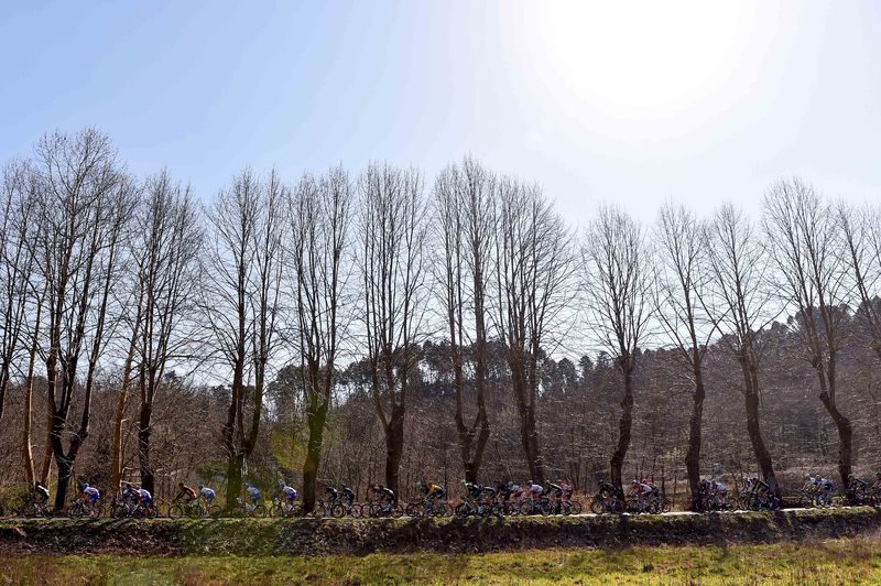 Tirreno-Adriatico - stage 2 - Cycling: 50th Tirreno - Adriatico 2015 / Stage 2 
Illustration Illustratie / Peleton Peloton / Forest Bois Bos / Landscape Paysage Landschap / 
Camaiore - Cascina (153Km)/ 
Stage Rit /(c) Tim De Waele
