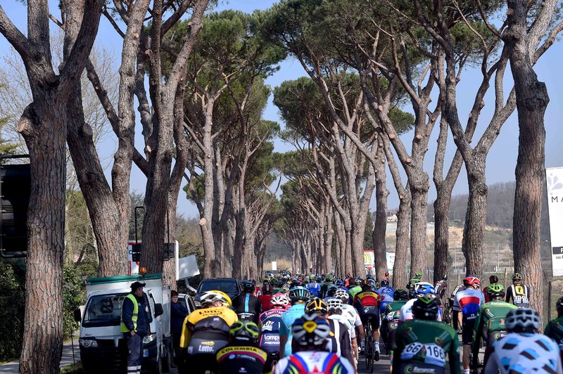 Tirreno-Adriatico - stage 3 - Cycling: 50th Tirreno - Adriatico 2015 / Stage 3 
Illustration Illustratie / Peleton Peloton / Forest Bois Bos / Landscape Paysage Landschap / 
Cascina - Arezzo (203Km)/ 
Stage Rit /(c) Tim De Waele
