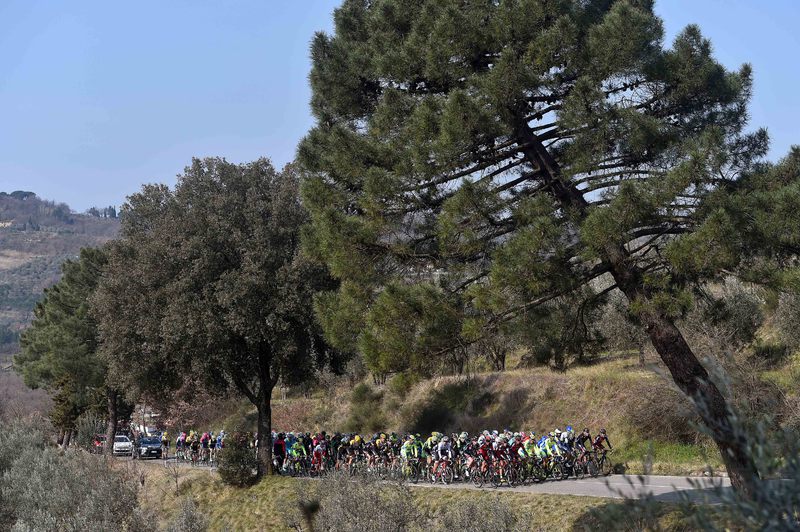 Tirreno-Adriatico - stage 4 - Cycling: 50th Tirreno - Adriatico 2015 / Stage 4 
Illustration Illustratie / Peleton Peloton / FOCE DELLO SCOPETONE (524m) Mountains Montagnes Bergen / Forest Bois Bos / Landscape Paysage Landschap / 
Indicatore (Arezzo) - Castelraimondo (226Km)/ 
Stage R