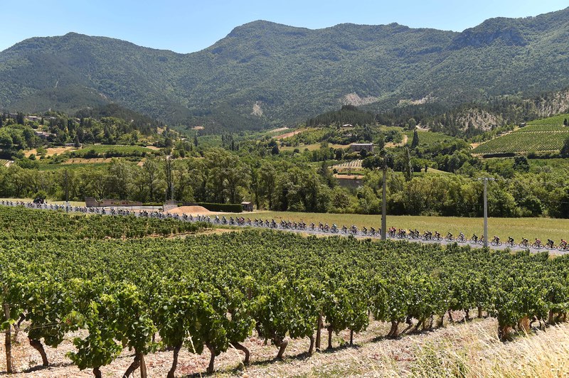 Tour de France - stage 16 - Cycling: 102nd Tour de France / Stage 16
Illustration Illustratie/ Peloton Peleton/ Landscape Paysage/ Vineyards/
Bourg-de-Peage - Gap (201Km)/
Ronde van Frankrijk TDF / Etape Rit /  ©Tim De Waele
