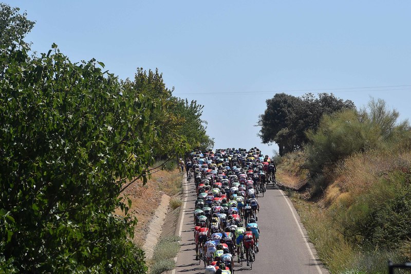 Vuelta a España - stage 6 - Cycling: 70th Tour of Spain 2015 / Stage 6
Illustration Illustratie/ Peloton Peleton/ Landscape Paysage/ 
Cordoba - Sierra de Cazorla (200,3Km)
Rit Etappe / Vuelta Tour d'Espagne Ronde van Spanje /(c)Tim De Waele 