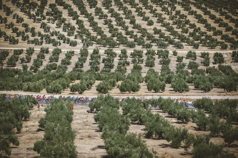 Etixx - Quick-Step animating La Vuelta - Stage 6: Cordoba - Sierra de Cazorla, 200.3 KM Photo: Iri Greco / BrakeThrough Media