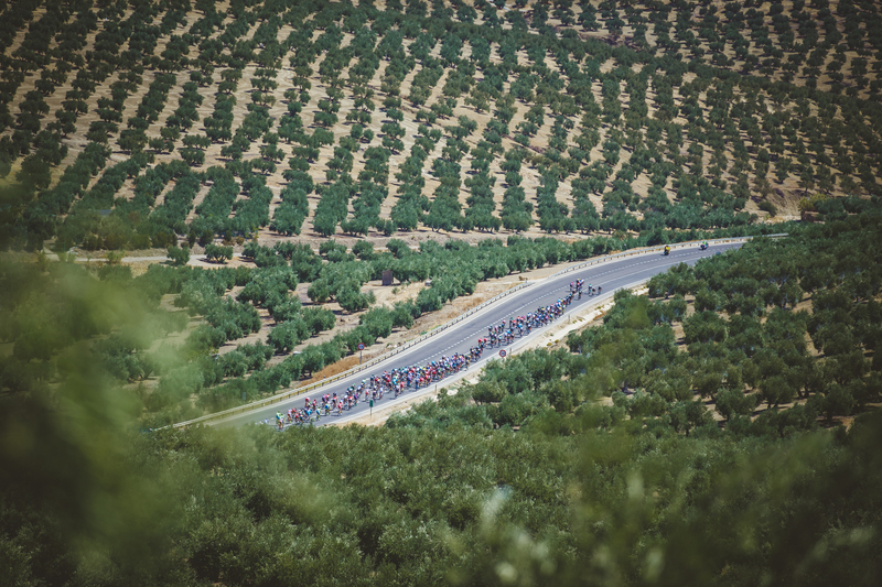 Etixx - Quick-Step animating La Vuelta - Stage 6: Cordoba - Sierra de Cazorla, 200.3 KM Photo: Iri Greco / BrakeThrough Media