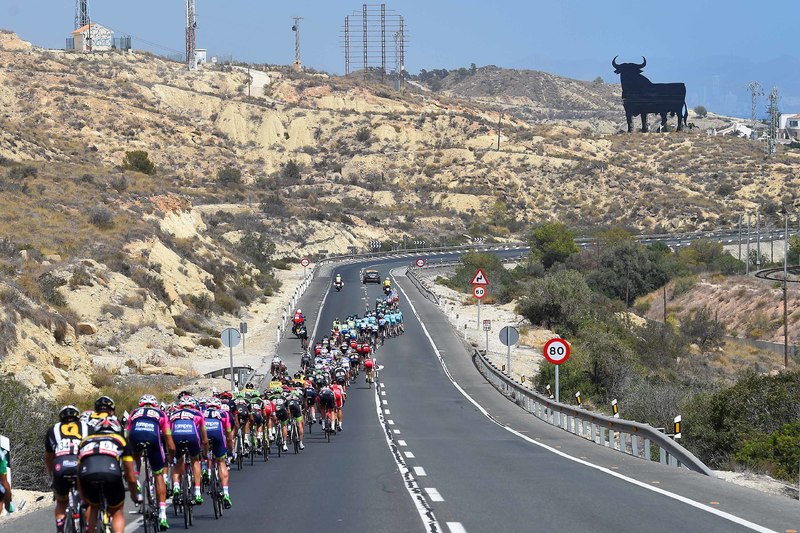 Vuelta a España - stage 9 - Cycling: 70th Tour of Spain 2015 / Stage 9
Illustration Illustratie/ Peloton Peleton/ Landscape Paysage/ Bull/
Torrevieja - Cumbre del sol. Benitachell (168.3Km)
Rit Etappe / Vuelta Tour d'Espagne Ronde van Spanje /(c)Tim De Waele 