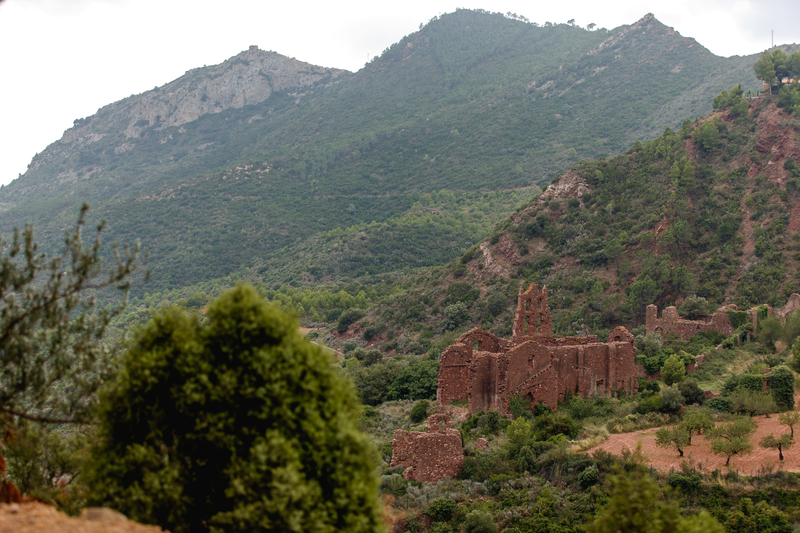 Etixx - Quick-Step keeps animating Vuelta - Stage 10: Valencia - Castellón, 146.6 KM Photo: Iri Greco / BrakeThrough Media