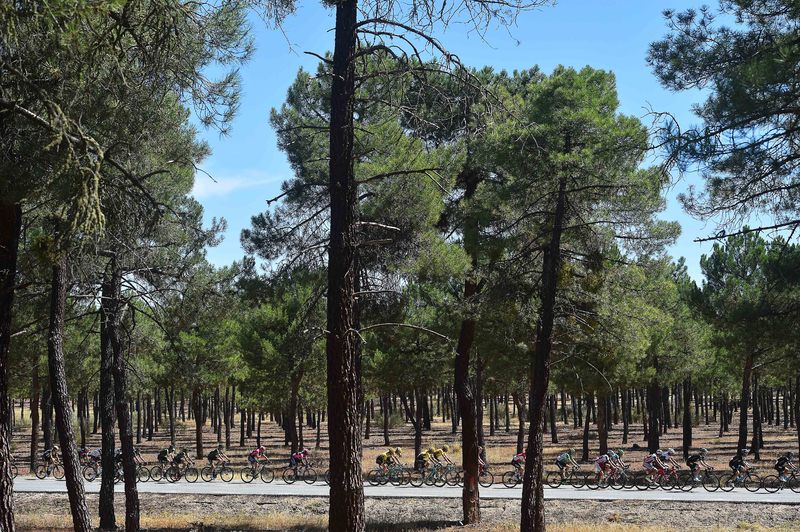 Vuelta a España - stage 19 - Cycling: 70th Tour of Spain 2015 / Stage 19
Illustration Illustratie / Peleton Peloton / Landscape Paysage Landschap / 
Medina del Campo - Avila (185.8Km)/ 
Rit Etape / Vuelta Tour d'Espagne Ronde van Spanje /(c)Tim De Waele 
