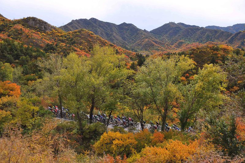 Tour of Beijing - stage 3 - Cycling : 4th Tour of Beijing 2014 / Stage 3 
Illustration Illustratie / Peleton Peloton / Dong Hui Ling Kom Summet (673m) Mountains Montagnes Bergen / Forest Bois Bos / Landscape Paysage Landschap / 
Yanqing - Qianjiadian Chao Yang Temple (176Km)/ 
Ronde